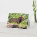 Buscar rey de la selva tarjetas Fotografía