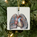 Buscar anatomía adornos Corazón
