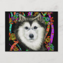 Buscar malamute de alaska postales Husky