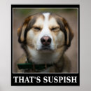 Buscar chiste posters Sarcasmo