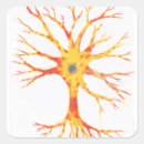 Buscar neuronas pegatinas Biología