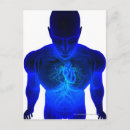Buscar partes del cuerpo humano postales Alto