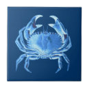 Buscar cangrejo azul azulejos Náutico