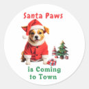 Buscar paws pegatinas Perro