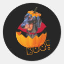 Buscar perro salchicha pegatinas Halloween
