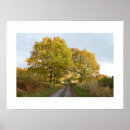 Buscar roble posters Otoño