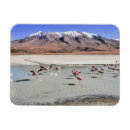 Buscar bolivia fotografía Sudamérica