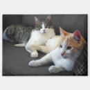 Buscar gatito lindo imanes General y unisex