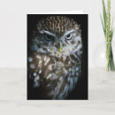 Buscar birdwatcher tarjetas El birdwatching