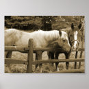 Buscar ecuestres posters Equitación