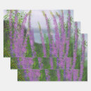 Buscar paisaje marino papel de regalo General y unisex