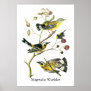 Buscar currucas posters Fauna