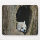 Buscar panda alfombrillas de raton Naturaleza