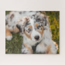 Buscar animal australiano puzzles Perro