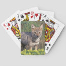 Buscar torres barajas de cartas Naturaleza