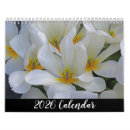 Buscar flores amarillas calendarios Tulipán