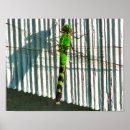 Buscar luminoso posters Insecto