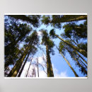 Buscar toldos posters Cielo