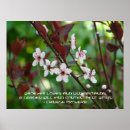 Buscar proverbio chino posters Sabiduría