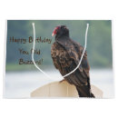 Buscar buzzard Viejo