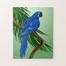 Buscar loros azules puzzles Fauna