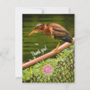 Buscar flora y fauna postales Agua