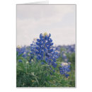 Buscar capo azul Bluebonnet