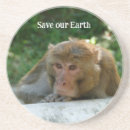 Buscar mono posavasos Animal