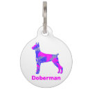 Buscar doberman mascotas Perro