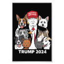 Buscar seguro posters Kamala