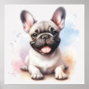 Buscar bulldog francés posters Colorido