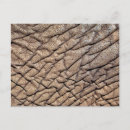 Buscar escondite postales Animal