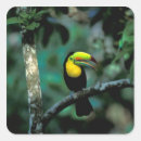 Buscar panama pegatinas América central