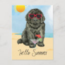 Buscar newfie postales Newfoundland