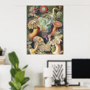 Buscar biología marina posters Ernst haeckel