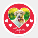 Buscar foto del perro pegatinas Corazón