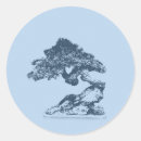 Buscar bonsais postales Árbol