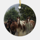 Buscar caballos salvajes adornos Ecuestre