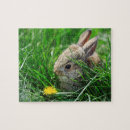Buscar conejos blancos puzzles Para todos