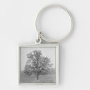 Buscar árbol llaveros Campo