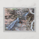 Buscar eterno postales Para todos