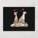 Buscar del galgo postales Divertido