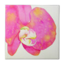 Buscar orquídea azulejos Elegante