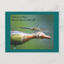 Buscar libélula linda postales Libélulas