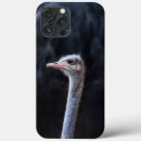 Buscar avestruz iphone fundas Animal