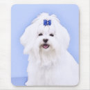 Buscar león lindo alfombrillas de raton Cachorro