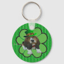 Buscar el día de st patrick llaveros Arrozal