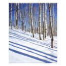 Buscar arboleda posters Nieve