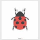 Buscar escarabajo negro pegatinas Rojo