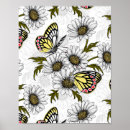 Buscar flores blancas posters Margarita